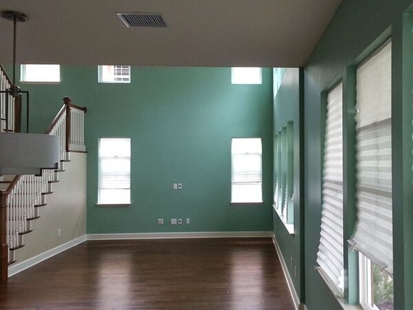 Living room painted green