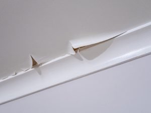 Blog 24