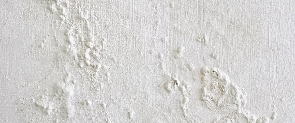 peeling and bubbling wall paint