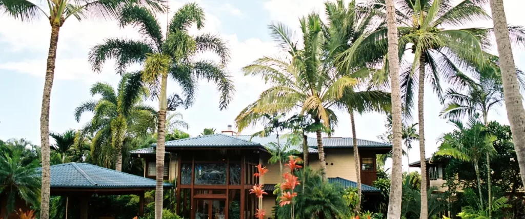 Modern tropical house surrounded by tall palm trees and greenery