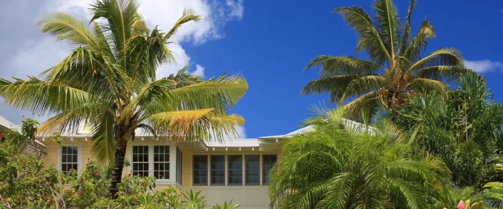 Tropical home with palm trees against a bright blue sky

