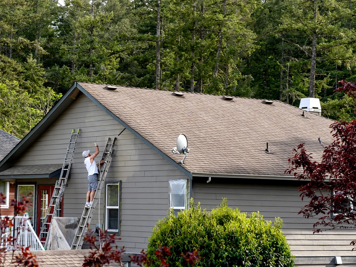 exterior painting waianae hi professional contractor painting gray house exterior with ladder surrounded by trees